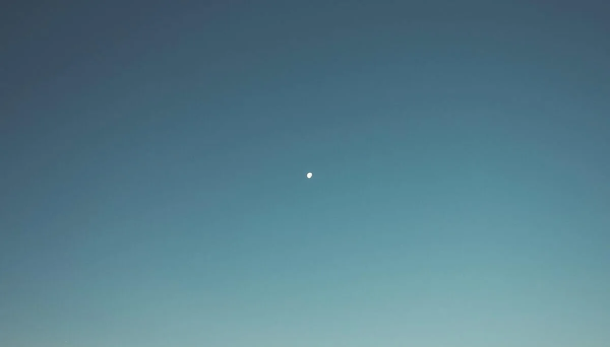 © test
